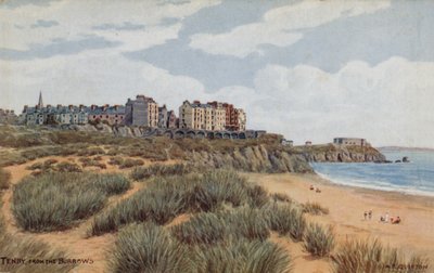 Tenby, vanaf The Burrows door Alfred Robert Quinton